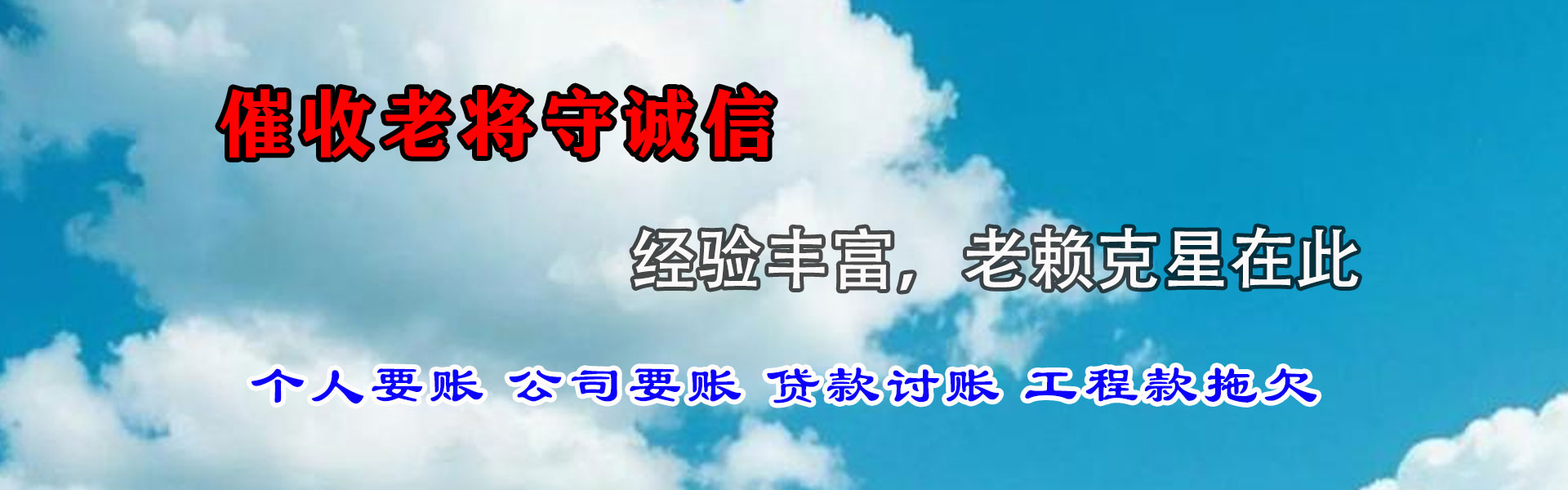 龙沙追账公司